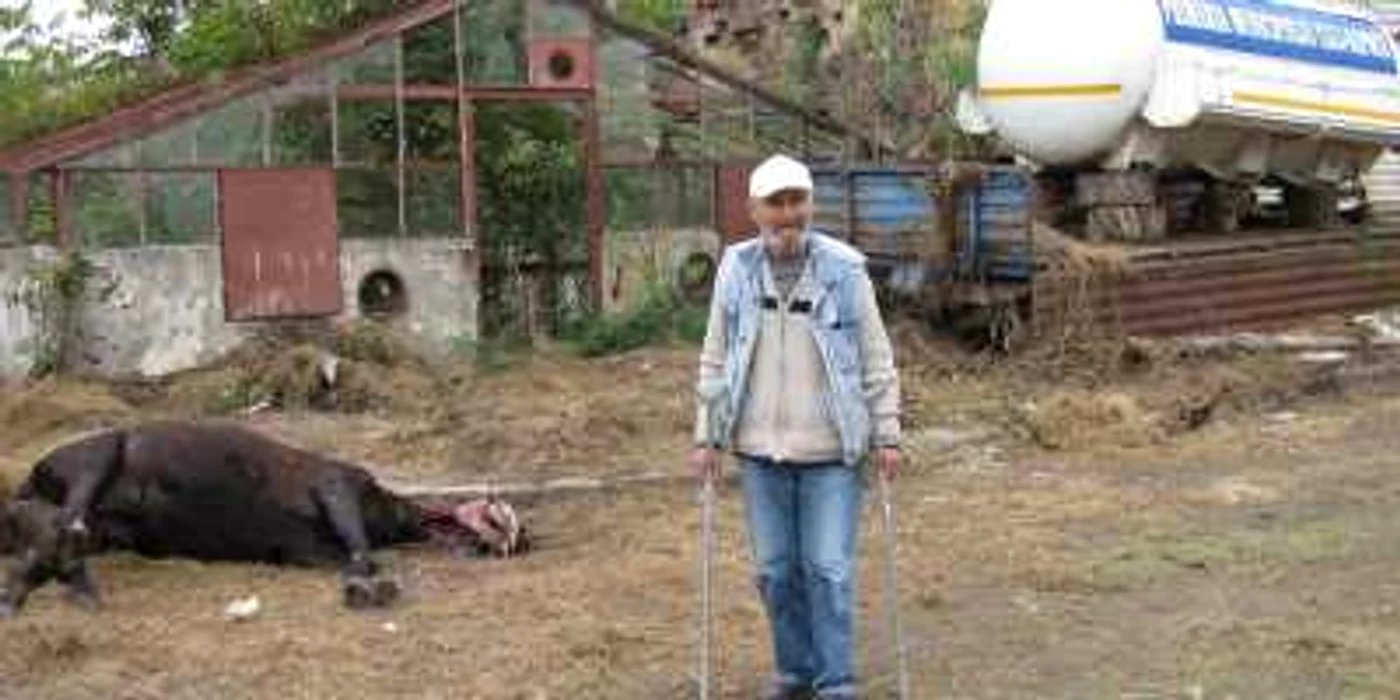 Cadavrul calului zace abandonat de câteva zile pe terenul din spatele garajelor.
