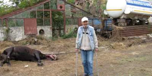 Cadavrul calului zace abandonat de câteva zile pe terenul din spatele garajelor.