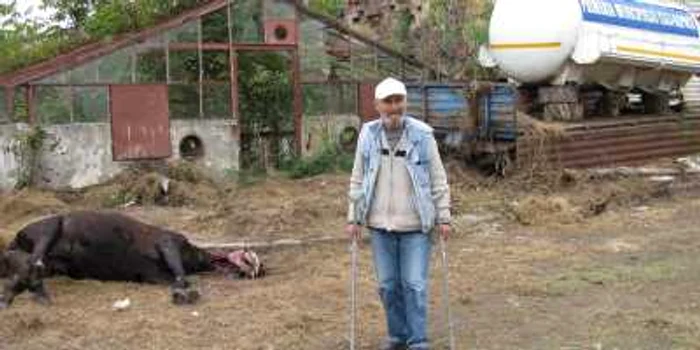 Cadavrul calului zace abandonat de câteva zile pe terenul din spatele garajelor.
