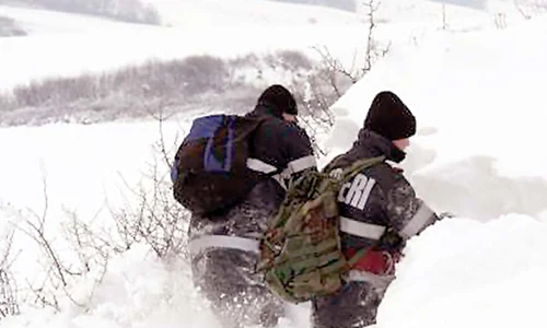 Nord este dresat  special pentru misiuni  de căutare şi salvare (FOTO: ZIARUL DE IAŞI ) jpeg