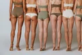 posterior  foto   Shutterstock jpg