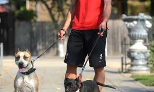 CLIIMA20140326 0085 1 jpeg