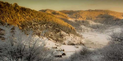 iarna in parcul gradstea muncelului foto remus suciu