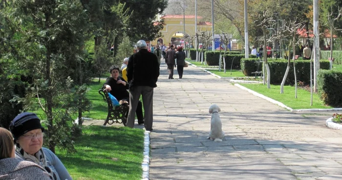 Grădina Publică Bârlad, locul unde ies la plimbare în zilele de sărbătoare sute de  bârlădeni