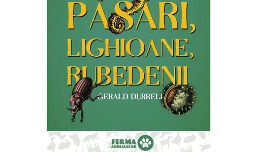 O familie netradițională și alte animale de soi jpeg