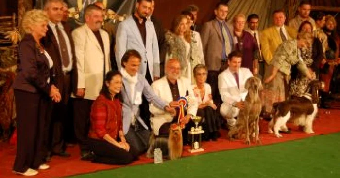 Târgu Mureş: „Drakula Best in Show”, cea mai mare expoziţie canină din ţară