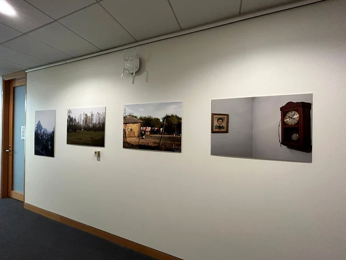 Colecție de fotografii din România expusă la Universitatea Harvard. FOTO 