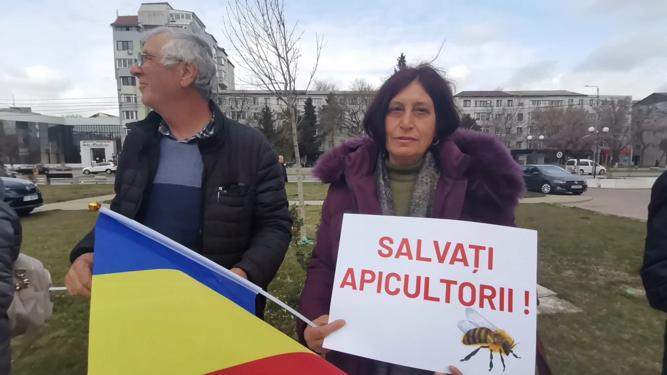 Apicultorii spun că nu beneficiază de niciun fel de sprijin FOTO: A. Mitran