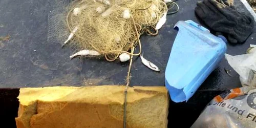 braconieri FOTO STPF Mehedinti 