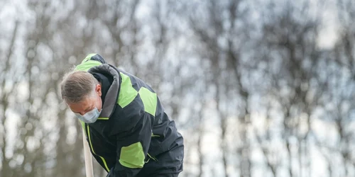 Iohannis planteaza copaci. Foto
