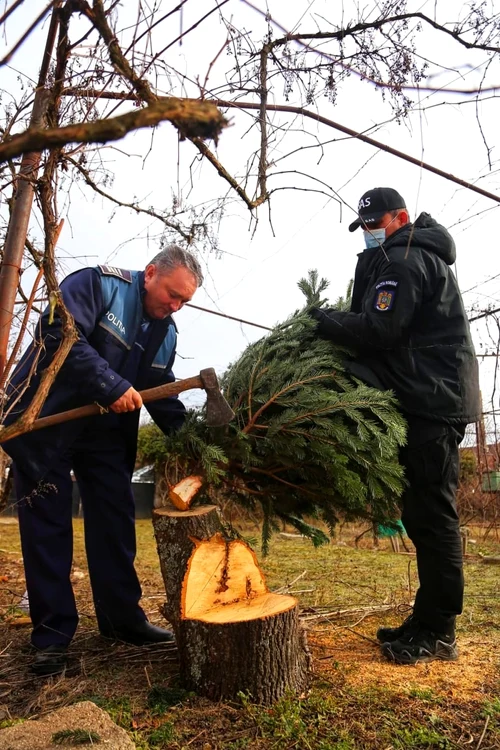 politie gorj