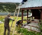Refugiul din Retezat foto Parcul Național Retezat National Park și Salvamont Hunedoara (3) jpg