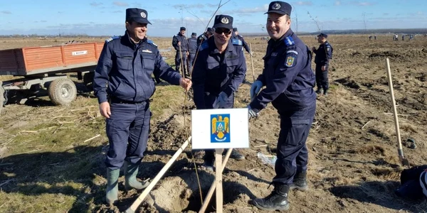 calarasi jandarmi