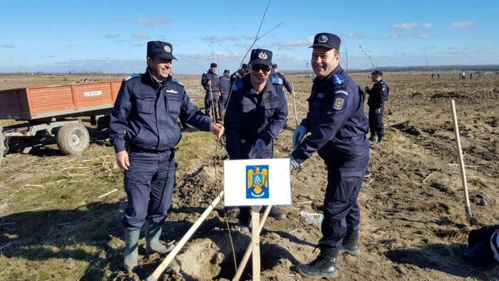Jandarmii călărăşeni, prezenţi la acţiunea de împădurire de la Jegălia FOTO IJJ