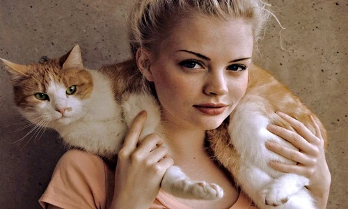 ce înseamnă culoarea pisicii tale jpeg