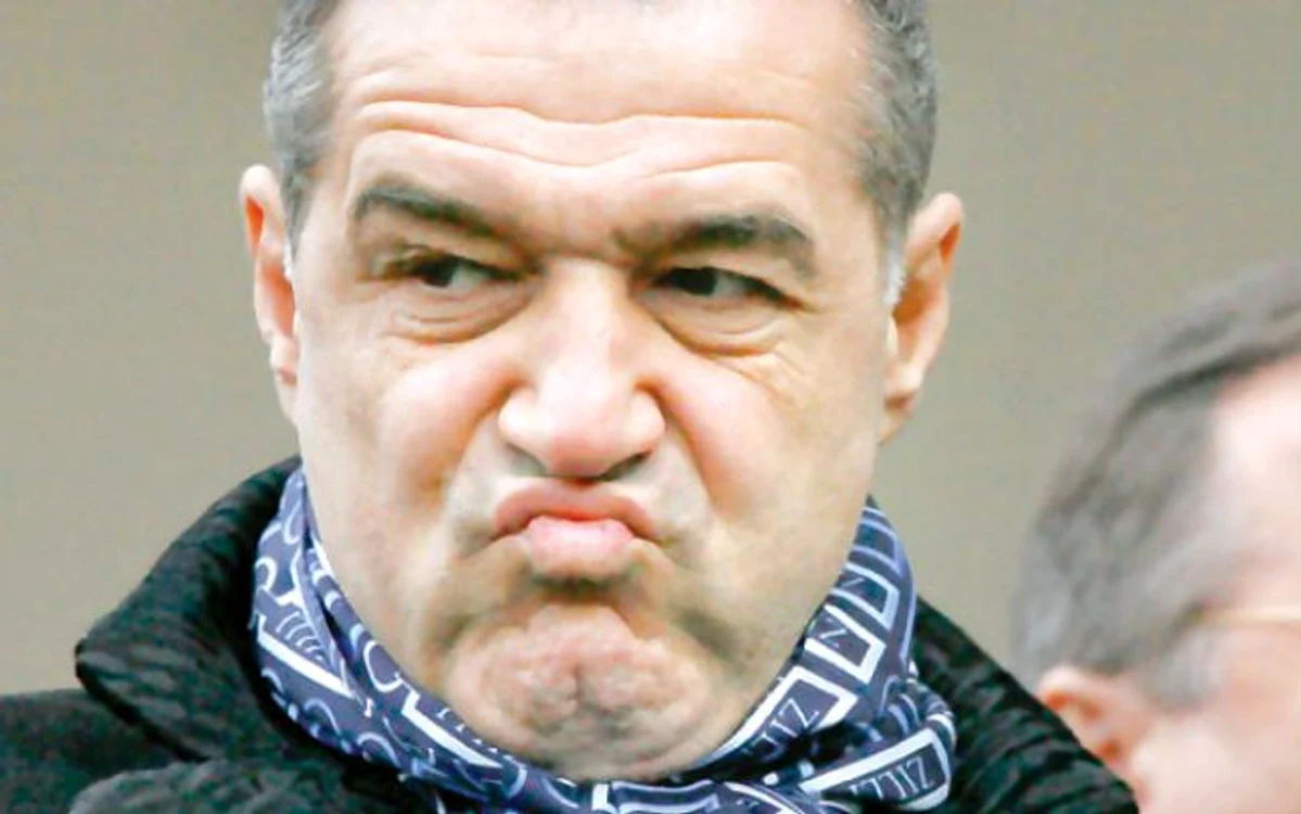 
    Printre cei implicați în defrișările ilegale ale pădurii Băneasa se află și Gigi Becali  