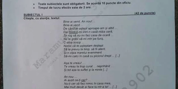 subiecte