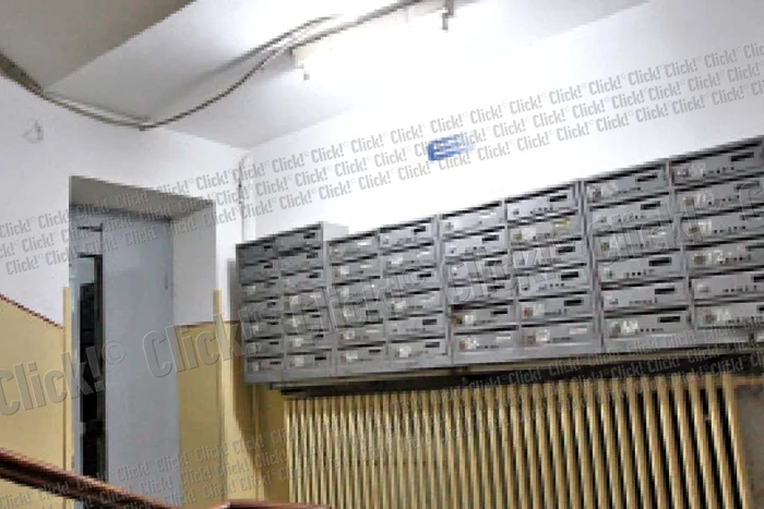 Minodora Cerin ne-a arătat pictura realizată în holul de la intrare