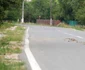 cruce