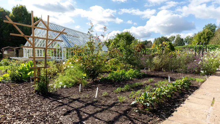 Grădină ecologică. Sursa: Garden Organic