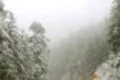 DN74 ninsoare zapada001 80x80 webp