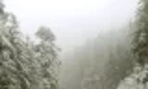 DN74 ninsoare zapada001 80x80 webp