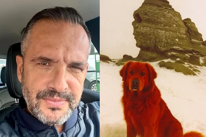 Câinele straniu întâlnit de jurnalist - Foto: Facebook