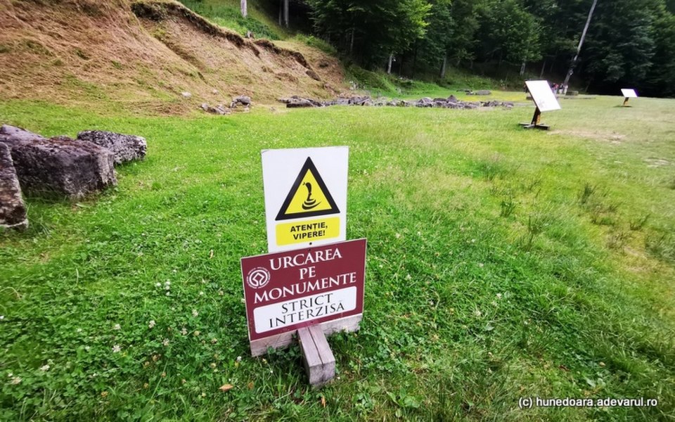 Spaima trăită de o turistă, într-o cetate dacică: „Am luat-o la fugă, fără să mă gândesc” VIDEO