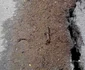 Case in pericol la Runcu