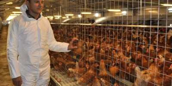 cornel stroescu la ferma de la bistrita