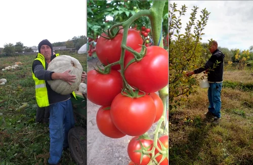 Ferma francezului Eugen Poştaru FOTO Arhiva personală