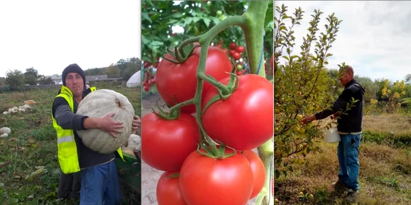Ferma francezului Eugen Poştaru FOTO Arhiva personală
