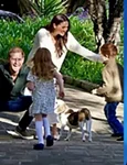 Prințul Harry  jpg
