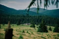 DSCF0983 jpg