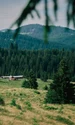DSCF0983 jpg