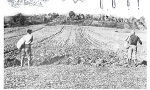 „O privire din interior a grădinii de la sat“ jpeg