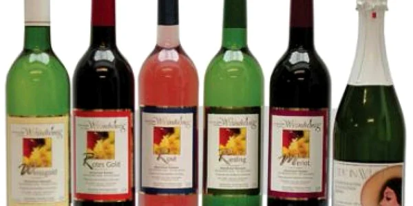 Ruşii nu renunţă la alcool, spune Medvedev