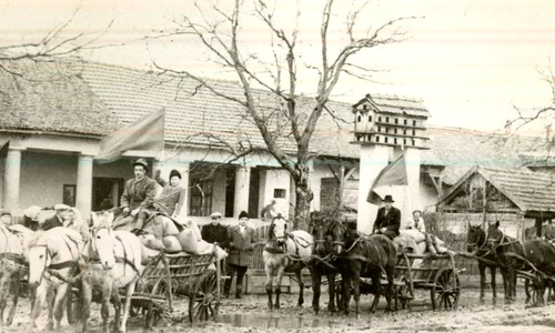 Blestemul ideologic al pământului jpeg