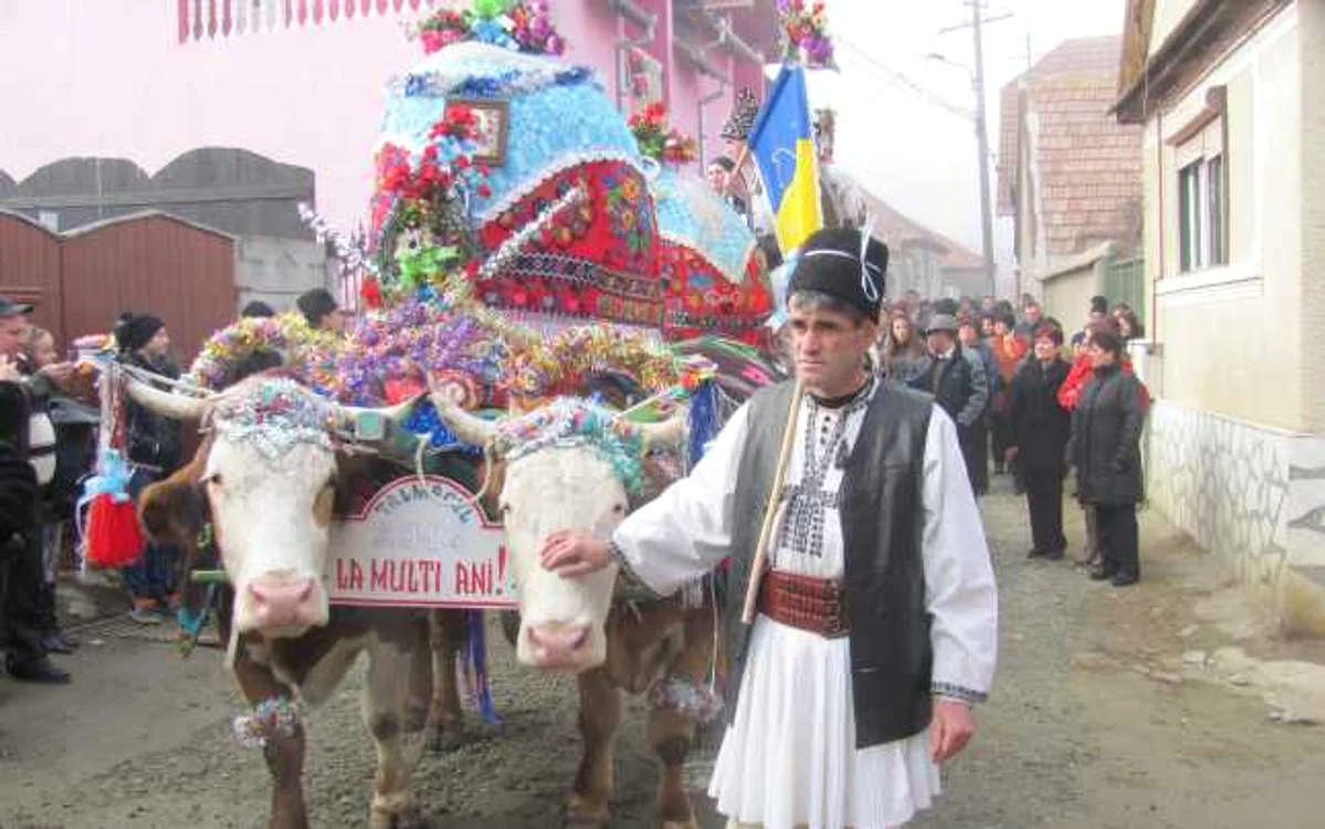 sibiu