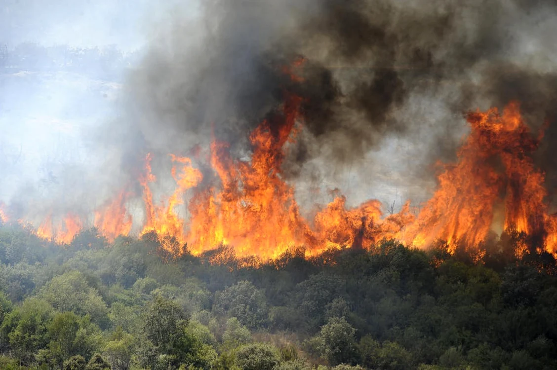 Cel puțin 43 de morți în urma incendiilor de vegetație / FOTO EPA-EFE