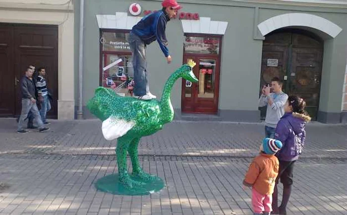 Zece struţi multicolori au fost amplasaţi pe pietonal