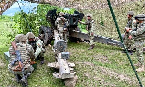 artilierie exercitiu militar foto fortele terestre jpg