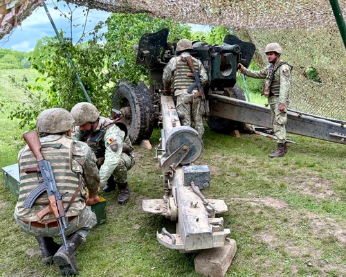 artilierie exercitiu militar foto fortele terestre jpg