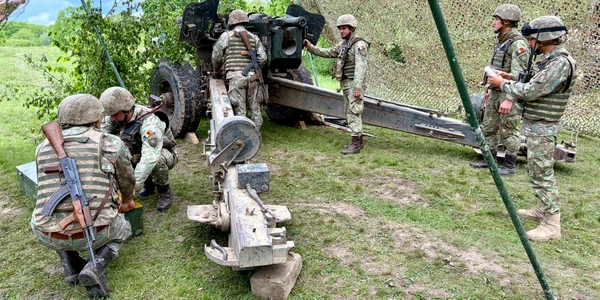 artilierie exercitiu militar foto fortele terestre jpg