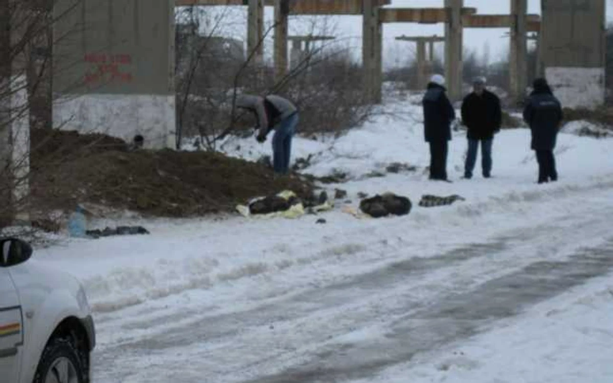 Politiştii anchetează condiţiile în care cei doi si-au pierdut viaţa