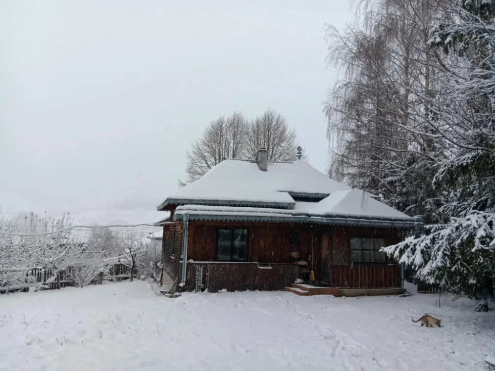 Casa în care americanul a decis să se mute cu soția lui, Aura / Foto: lovedeco.ro
