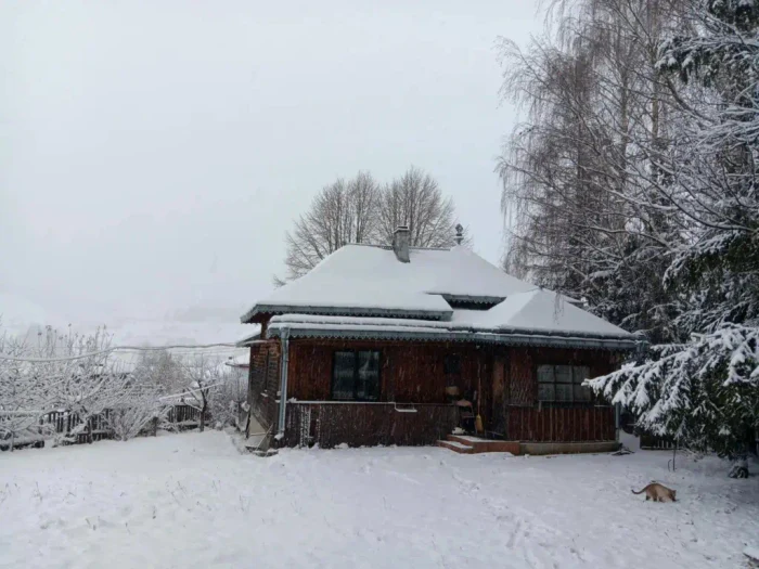 Casa în care americanul a decis să se mute cu soția lui, Aura / Foto: lovedeco.ro