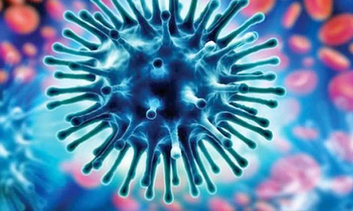 Din 15 septembrie, Ministerul Sănătăţii va distribui în ţară un milion de doze de vaccin antigripal  jpeg