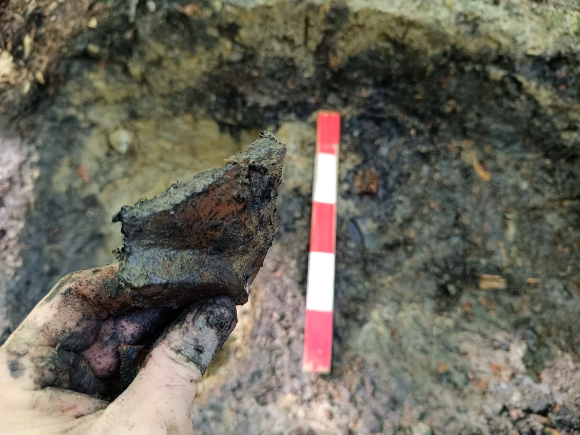 Cel mai mic sit arheologic din România (© Facebook / Vasile Diaconu - archaeologist)