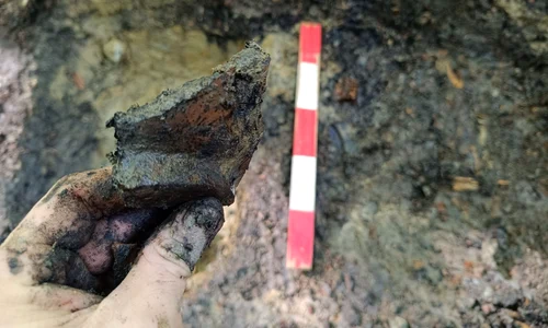 Cel mai mic sit arheologic din România (© Facebook / Vasile Diaconu - archaeologist)